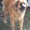 Elena Guerrero avatar