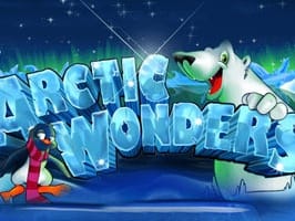 Arctic Wonders screenshot